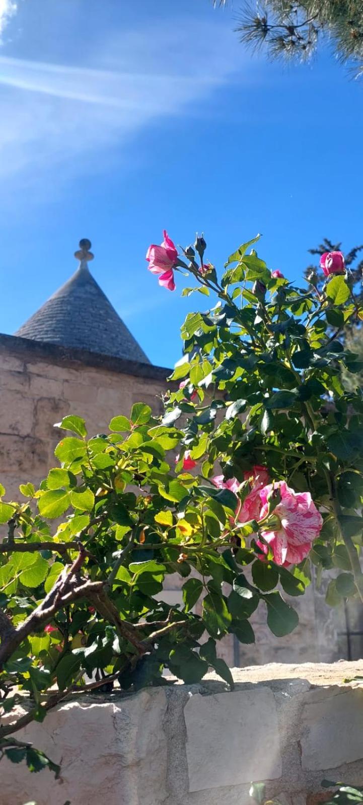 Villa Il Trullo Delle Rose, Monopoli By Il Pumo Di Puglia à Cozzana Extérieur photo